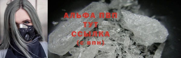 СК Алзамай