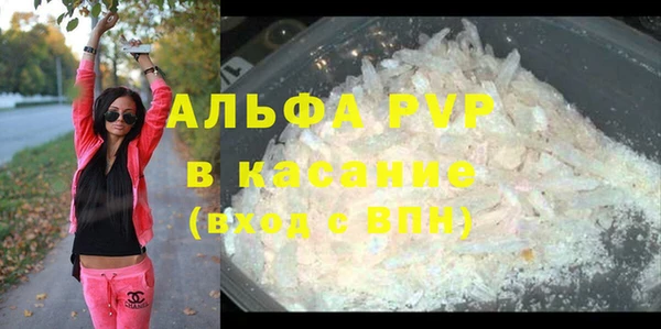 стаф Медногорск