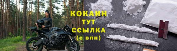СК Алзамай
