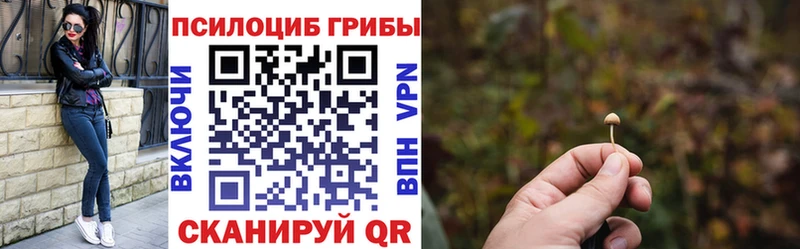 Псилоцибиновые грибы Cubensis  Чайковский 